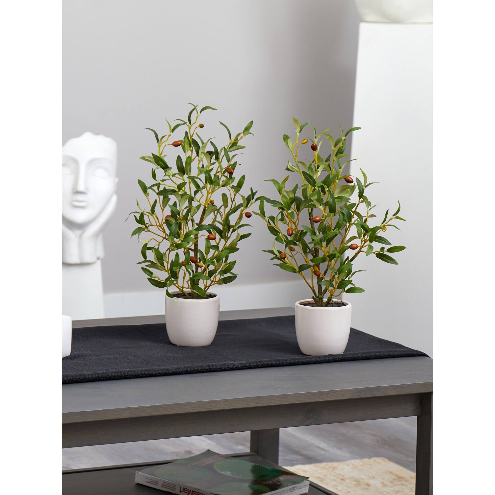 18" Silk Olive Tree with Vase, 2ct.